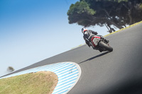 07th-to-9th-January-2019;Phillip-Island;event-digital-images;motorbikes;no-limits;peter-wileman-photography;trackday;trackday-digital-images