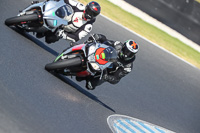 07th-to-9th-January-2019;Phillip-Island;event-digital-images;motorbikes;no-limits;peter-wileman-photography;trackday;trackday-digital-images