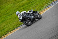 Lower_Group_Black_Bikes