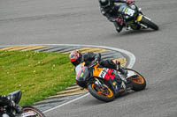 anglesey-no-limits-trackday;anglesey-photographs;anglesey-trackday-photographs;enduro-digital-images;event-digital-images;eventdigitalimages;no-limits-trackdays;peter-wileman-photography;racing-digital-images;trac-mon;trackday-digital-images;trackday-photos;ty-croes
