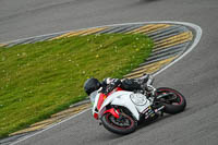 Lower_Group_White_Bikes