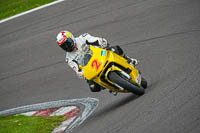 anglesey;brands-hatch;cadwell-park;croft;donington-park;enduro-digital-images;event-digital-images;eventdigitalimages;mallory;no-limits;oulton-park;peter-wileman-photography;racing-digital-images;silverstone;snetterton;trackday-digital-images;trackday-photos;vmcc-banbury-run;welsh-2-day-enduro