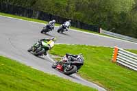 anglesey;brands-hatch;cadwell-park;croft;donington-park;enduro-digital-images;event-digital-images;eventdigitalimages;mallory;no-limits;oulton-park;peter-wileman-photography;racing-digital-images;silverstone;snetterton;trackday-digital-images;trackday-photos;vmcc-banbury-run;welsh-2-day-enduro