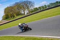 Lower_Group_Black_Bikes