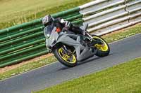 Lower_Group_Silver_Grey_Bikes