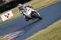 Evening_Low_Mid_Group_White_Bikes