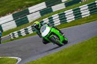 Lower_Group_Green_Bikes