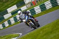 Lower_Group_Multicolour_Bikes