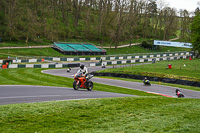 Lower_Group_Orange_Bikes