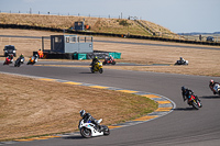 anglesey-no-limits-trackday;anglesey-photographs;anglesey-trackday-photographs;enduro-digital-images;event-digital-images;eventdigitalimages;no-limits-trackdays;peter-wileman-photography;racing-digital-images;trac-mon;trackday-digital-images;trackday-photos;ty-croes