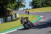 Middle_Group_Black_Bikes