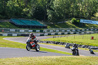 Middle_Group_Orange_Bikes