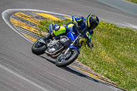 anglesey-no-limits-trackday;anglesey-photographs;anglesey-trackday-photographs;enduro-digital-images;event-digital-images;eventdigitalimages;no-limits-trackdays;peter-wileman-photography;racing-digital-images;trac-mon;trackday-digital-images;trackday-photos;ty-croes